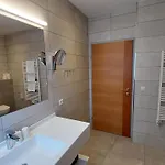 Appartement Schattauer *