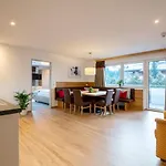 Appartement Schattauer *