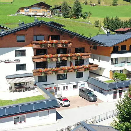 Apartment Appartement Schattauer