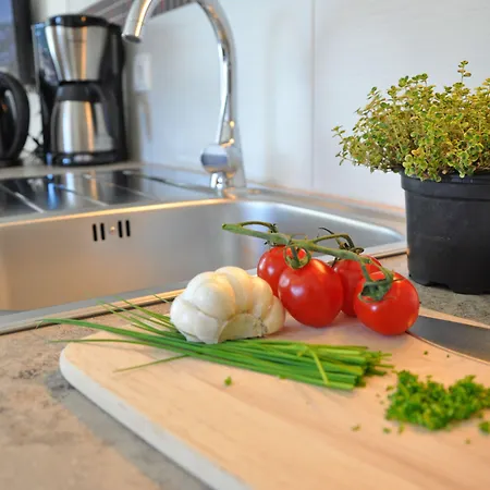 Apartament Schattauer Wagrain