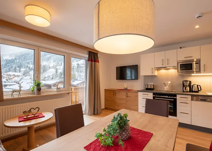 Appartement Schattauer